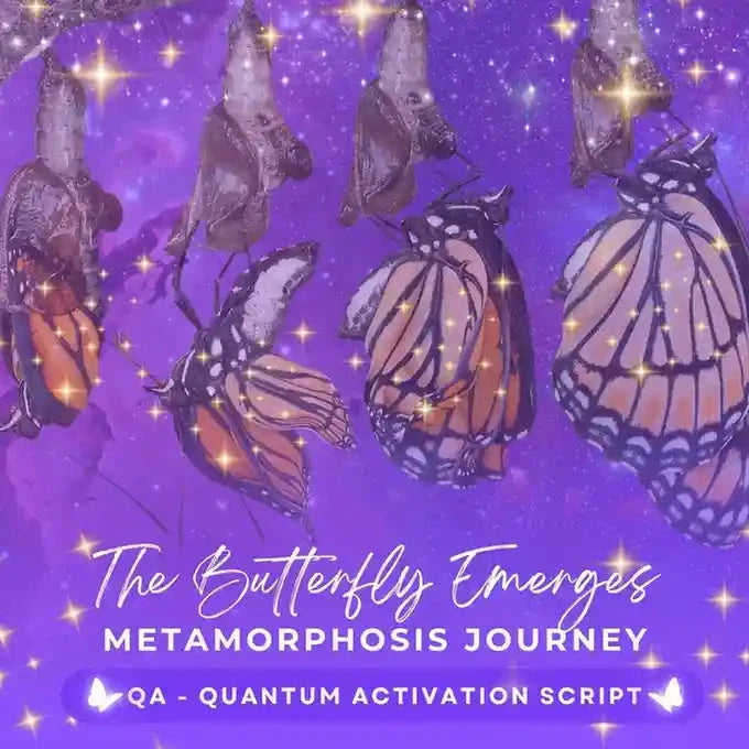 The Butterfly Emerges