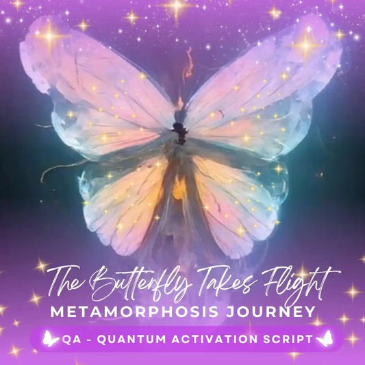The Butterfly Takes Flight
