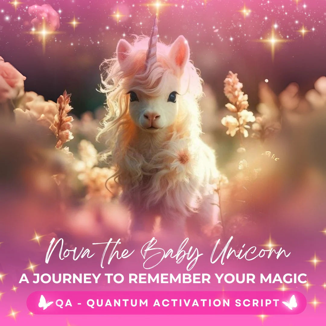 Nova the Baby Unicorn